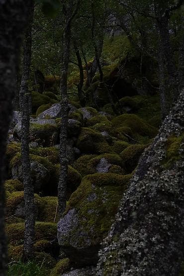 Фото жана видеокамералар: Беззеркальная камера Sony α5100 (ILCE-5100) с объективом E PZ 16–50mm — 6