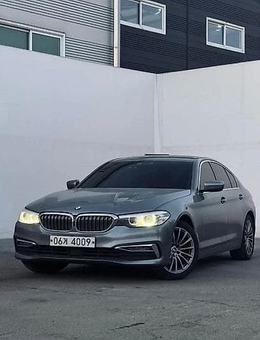 BMW 520: 2019 г., 2 л, Автомат, Бензин, Седан