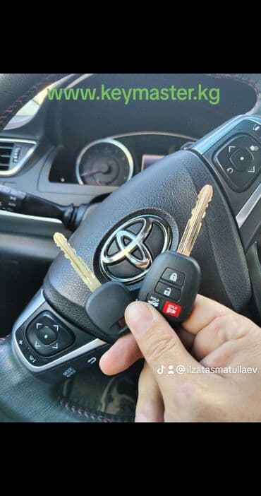 набор ключ для машины: Изготовление чип ключей Чип ключ Чип ключи Авто ключ Чип авто — 2