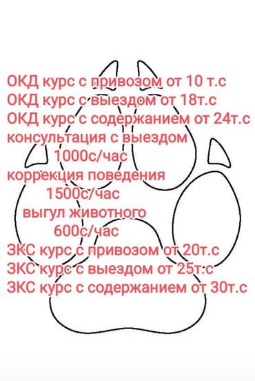 Собаки: Опытный кинолог, стаж работы более 20лет. Дрессировка собак, коррекция — 2