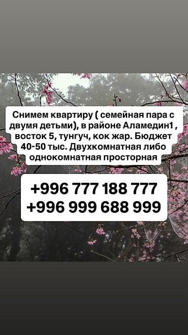 Ищем квартиру в аренду. Предпочтительные районы: Аламедин-1, Восток-5
