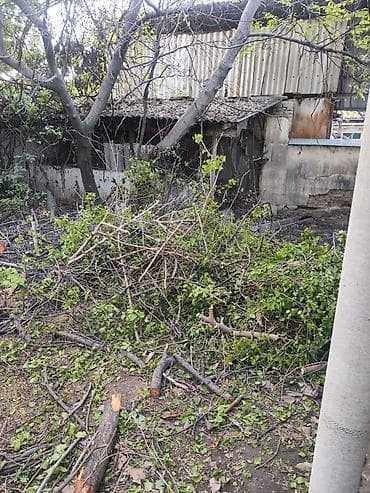 отдам ребенка после родов 2022 бишкек: Продаю дрова длядома и печки. много. отдам за 10 000с или Портер — 4