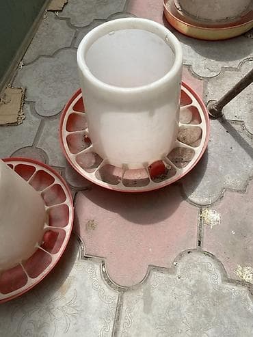 прием пластиковых ящиков: Кормушки и поилки для птицы (набор) Все что на фото 1000с - — 5