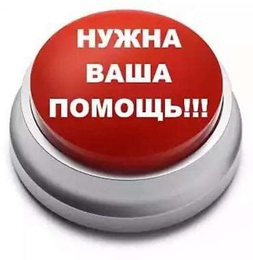 Здравствуйте! Просьба откликнуться неравнодушных людей помочь нам кто