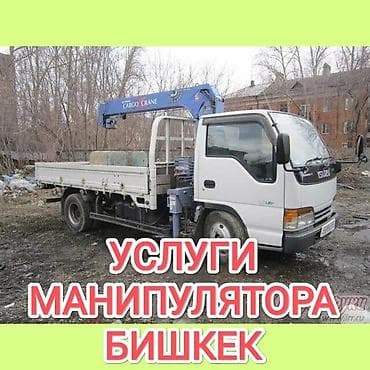 Манипулятор, Ford