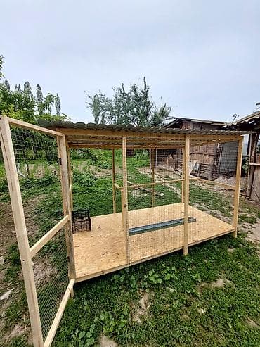 новый аквариум: Другая сетка — 1