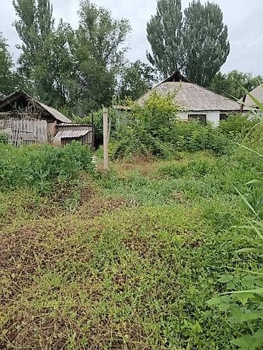 калыс ордо 1: Дом с приусадебным участком - Одноэтажный жилой дом с двускатной — 10