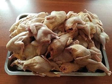 балыкчы пляж: Перепелиное мясо мы в центре города удобная локация — 1