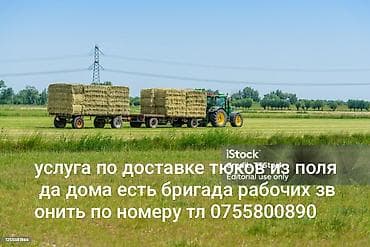 амуниция для лошадей: Услуги по вывозу и доставке тюков сена/соломы с поля до двора. - — 1
