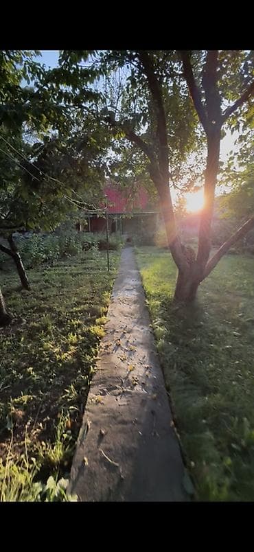 Недвижимость: 🏡Продается дача в Горной Маявке (ООС Магисталь). Удобный заезд — 3