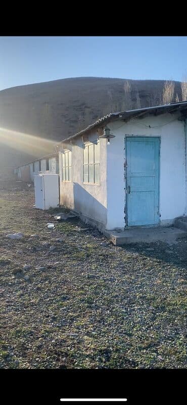 аренда квартира бишкек: Продаю Кошара, 40 соток, Действующий, Без оборудования, Электричество, Холодная вода — 8