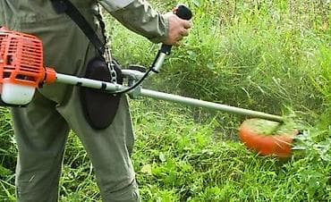 Уборка территории: Уборка территории, Стрижка газона — 2