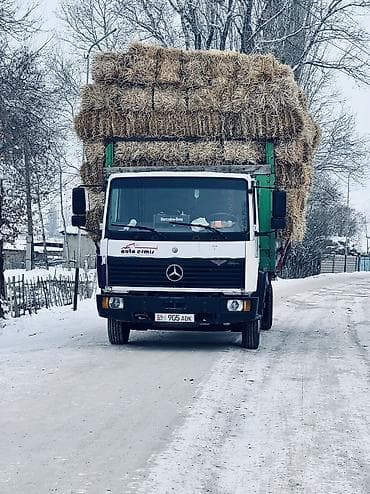 Грузовик, Mercedes-Benz, Стандарт, 7 т, Б/у