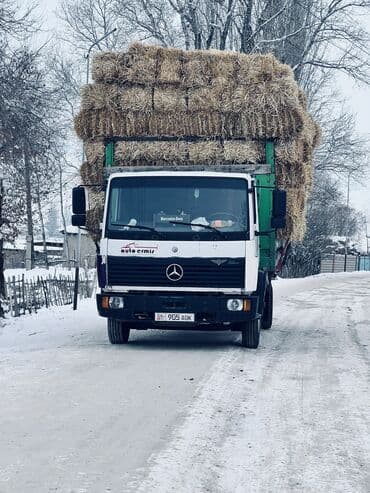 освещение на авто: Грузовик, Mercedes-Benz, Стандарт, 7 т, Б/у — 1