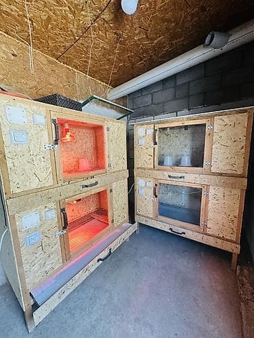 Брудеры/клетки для выращивания птенцов и молодняка птицы (цыплята — 1