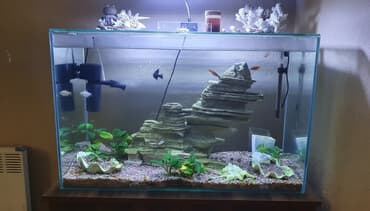 продам аквариум бу: Продаю аквариум с тумбой со всем содержимым Тумбу делали — 1
