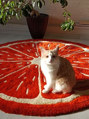 дом ковров бишкек: Килем Жаңы, Тафтингдик, Акрил, Кыргызстанда жасалган, Накталай эмес/накталай төлөм — 3