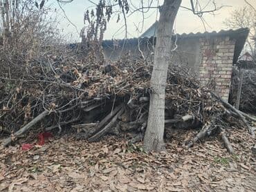 шины даром: Дрова, самовывоз бесплатно — 2