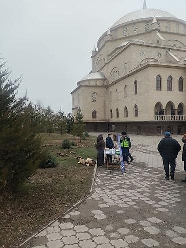 сараи: Продаю | Овца (самка) | Для разведения | Племенные — 4