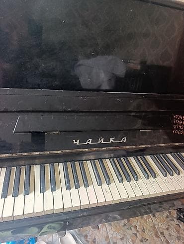 Музыкальные инструменты: Пианино «Чайка», вертикальное, черный корпус с глянцевой отделкой — 3