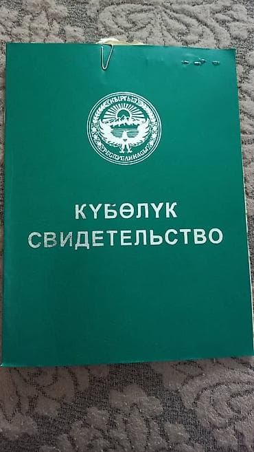 100000: Продаю земельный участок 1га. в районе Новопокровки за БЧК. Прошу 25 — 1