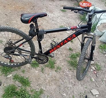 1gz ge: Горный велосипед, Рама XL (180 - 195 см), Сталь — 1