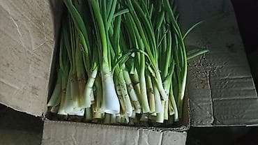 Промышленная химия: Лук — 2