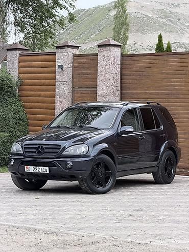 sl 55: Mercedes-Benz ML-Class AMG: 2000 г., 5.5 л, Автомат, Бензин, Кроссовер — 3