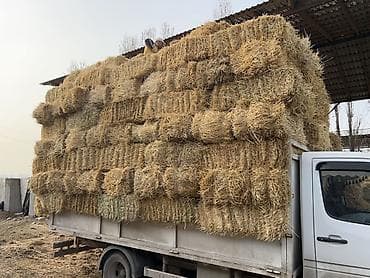 пакеты для постельного белья: Солома в тюках - Тюковая солома из злаковых культур, прессованная в — 2