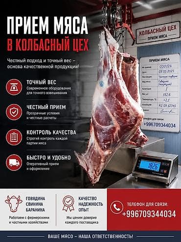 Туша