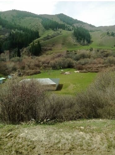 гостевые дома на иссык куле: 6 соток, Для строительства, Красная книга — 1