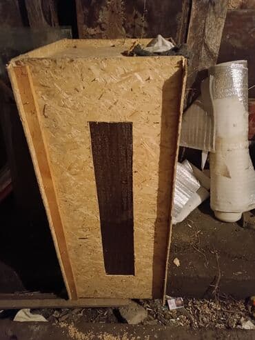 меняю на дом: Инкубатор с брудером — 5