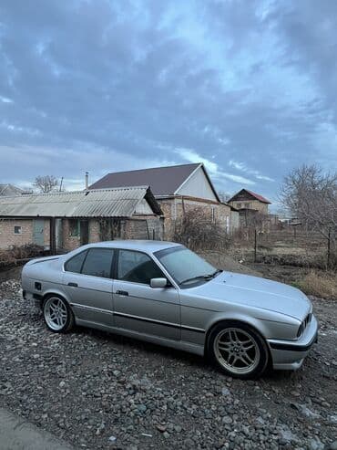 годьф 3: BMW 5 series: 1992 г. — 3