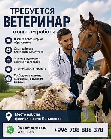 доставка нарын: Вакансия: ветеринар (продажник ) с опытом работы У нас наработанные — 1