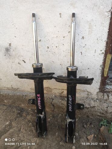 на хариер: Без выезда — 4