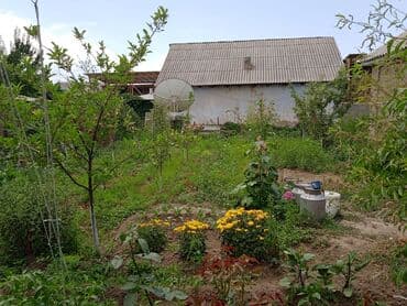 продажа домов в токмаке: Дом, 60 м², 4 комнаты, Собственник, Косметический ремонт — 9