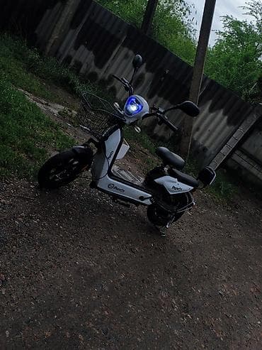 касилка бу: Электроскутер Panda (белый) из минусов : надо поменять заднию — 3