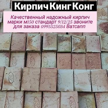 купить комнатные цветы в бишкеке: Пустотелый, дырчатый, Жженый кирпич, Полублок, 250×120×90 — 1