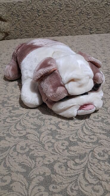 Мягкие игрушки в отличном состоянии 400сом за все,конструктор 300сом at lalafo.kg Мягкие игрушки в отличном состоянии 400сом за все,конструктор 300сом