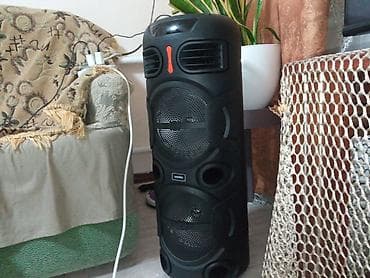 bid song plus: (сдаеться в прокат)Портативная акустическая система напольного типа - — 1