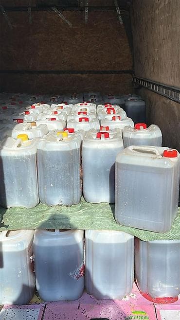 мёд бишкек: Принимаем отработанные фертильный мосло — 1