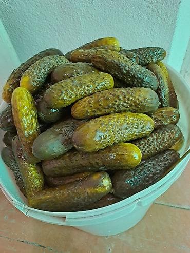 Продукты питания: Огурцы — 8