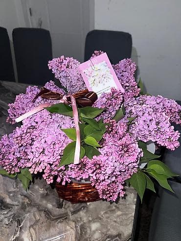 Продажа большая корзина калированных сиреней доставка по городу