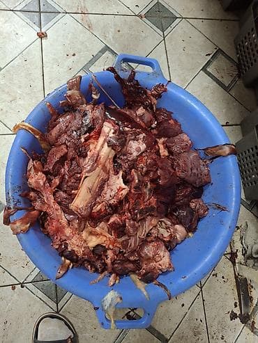 станок мясорезка: Бесплатная доставка — 7