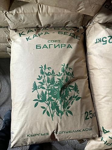 туки сена: Семена кормовых растений: Люцерна, Самовывоз — 1