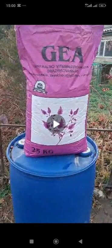 купить яровой ячмень на посев: Кара балта Беде Урук Джея качество 💯 6жылдык Беде 4.5жолу чабылат — 3