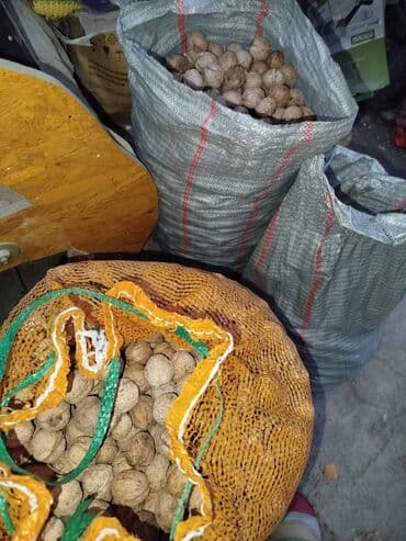 голландские семена арбуза купить: Грецкие орехи. оптом по 100 сом — 5