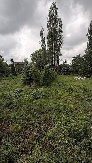 45: 7 соток, Для строительства, Красная книга — 3