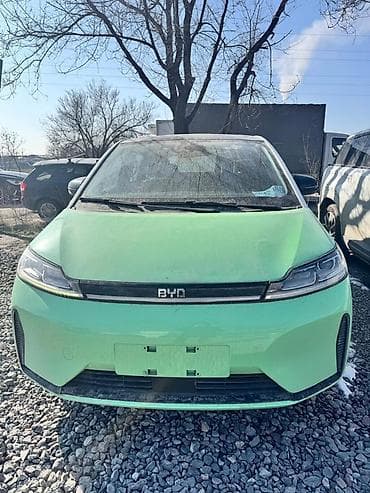 BYD: BYD D1: 2021 г., Электромобиль, Вэн/Минивэн — 1