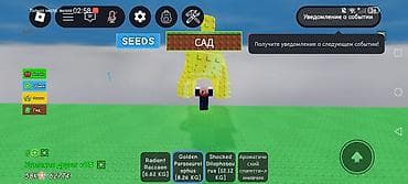 Дом и сад: Игровой аккаунт/набор в Roblox (симулятор с питомцами и предметами) — 4